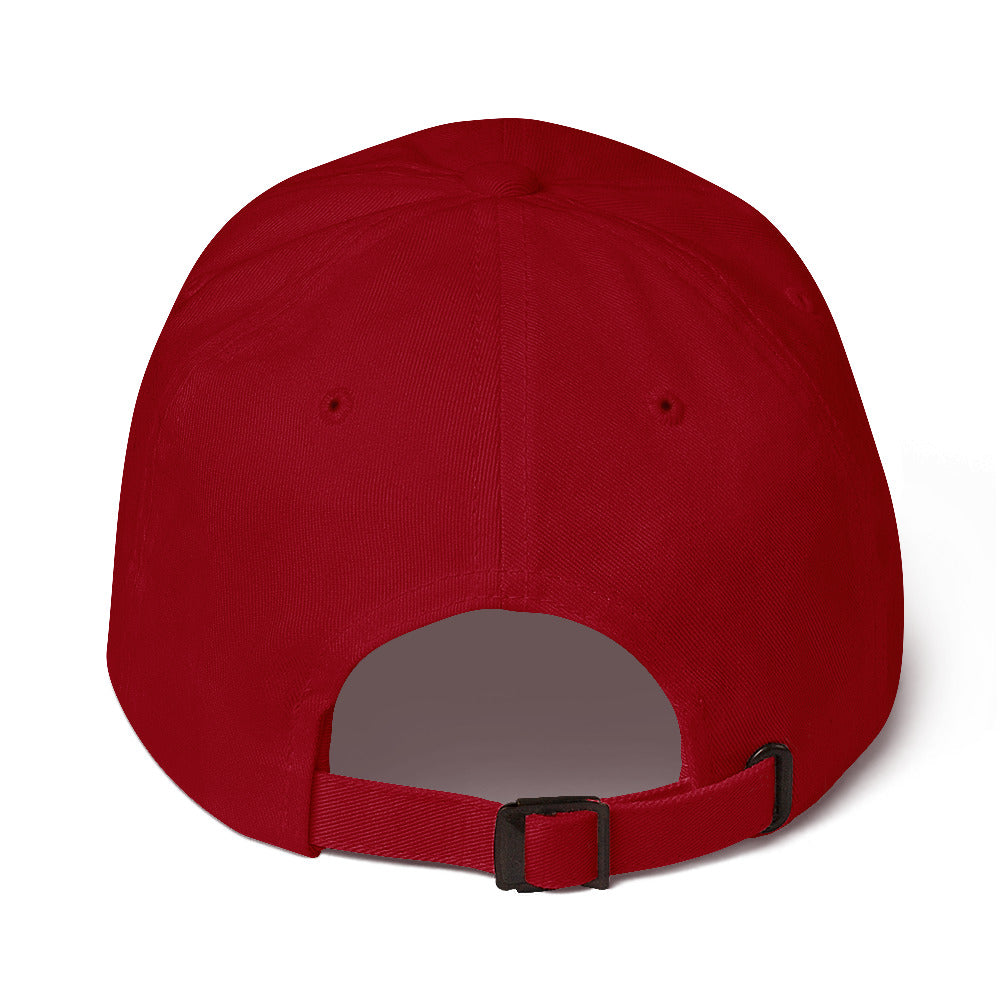 Professional (Maybe) hat