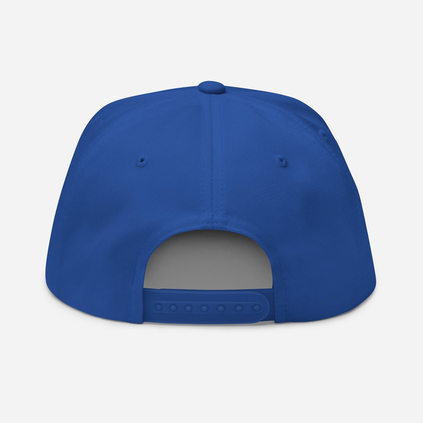 Professional (Maybe) Flat Bill Cap